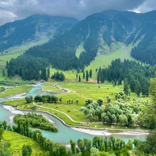 Tour and Travel in Srinagar