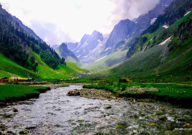 Travel Agent in Katra