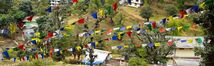 travel in katra