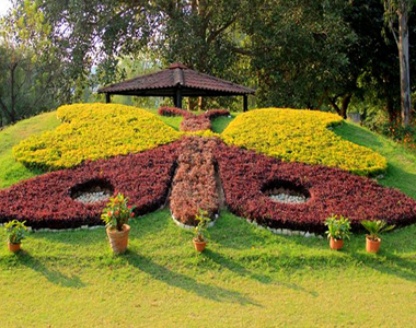 tours in Katra