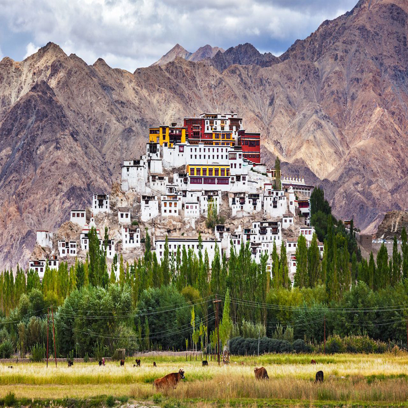 Best Travel Agency in Jammu