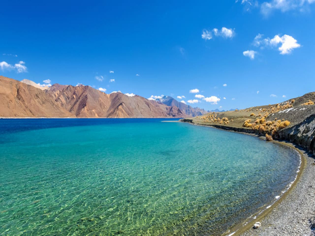 Tour and Travel Jammu 